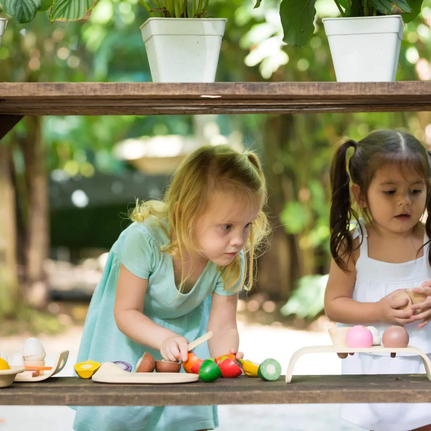 Assorted Fruit & Vegetable Wood Toy for Toddlers