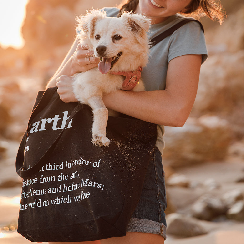 Organic Cotton Canvas Bag - Avani Tote