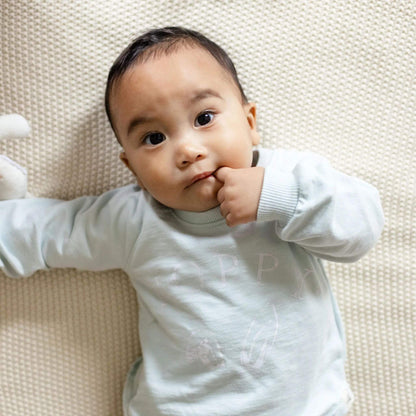 Hoppy Blue Organic Baby & Toddler Sweatshirt