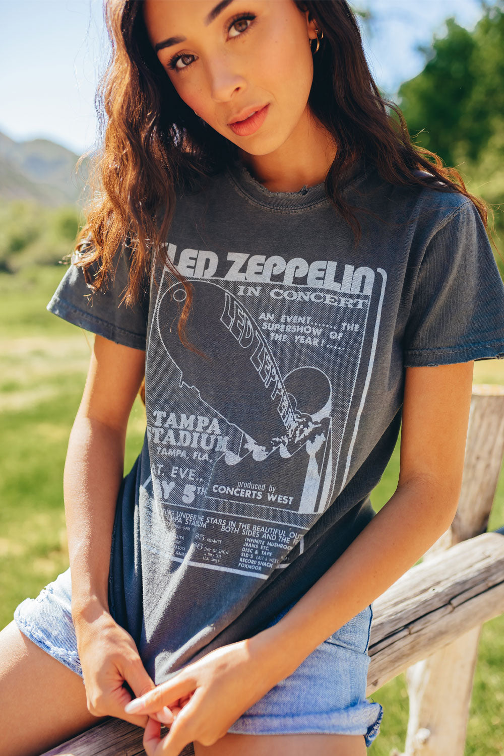 Adults Organic Led Zeppelin 1973 Sunkissed Tee
