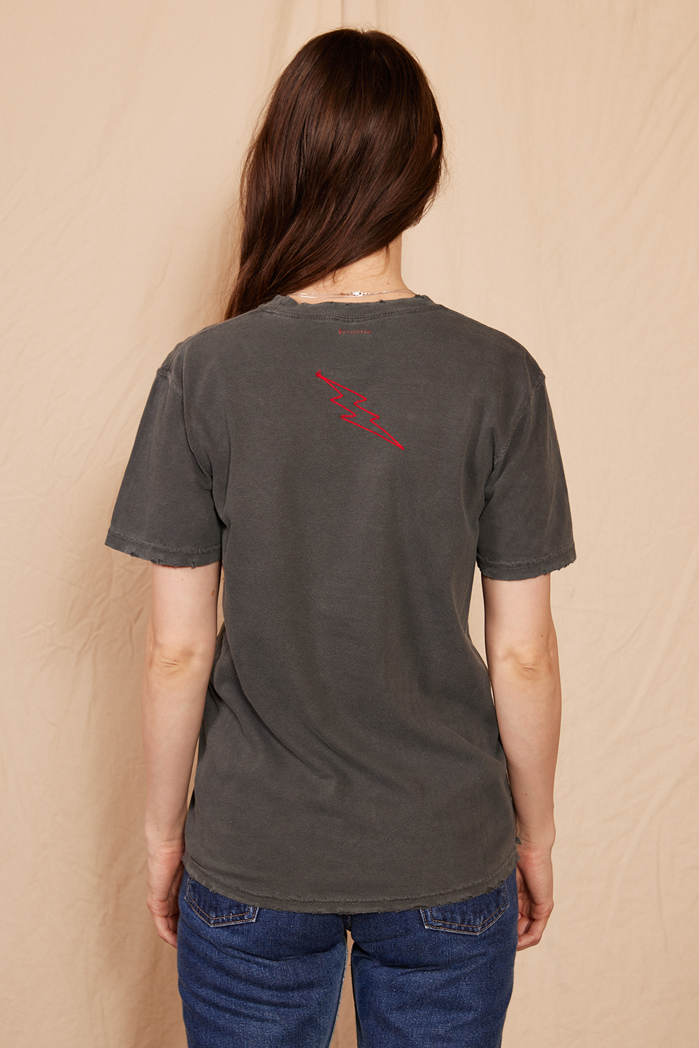Adults Organic Led Zeppelin 1973 Sunkissed Tee