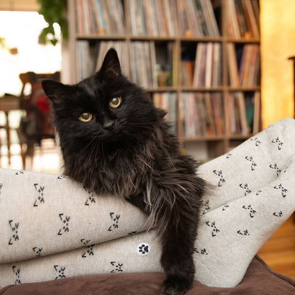 Save Cats Adult Socks Gift Box
