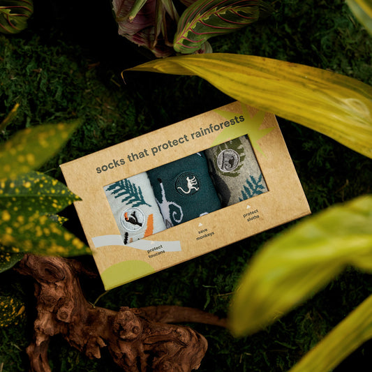 Protect Rainforests Adult Socks Gift Box