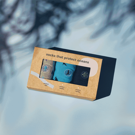 Adult Protect Oceans Gift Box