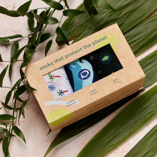 Adult Socks Protect the Planet Gift Box
