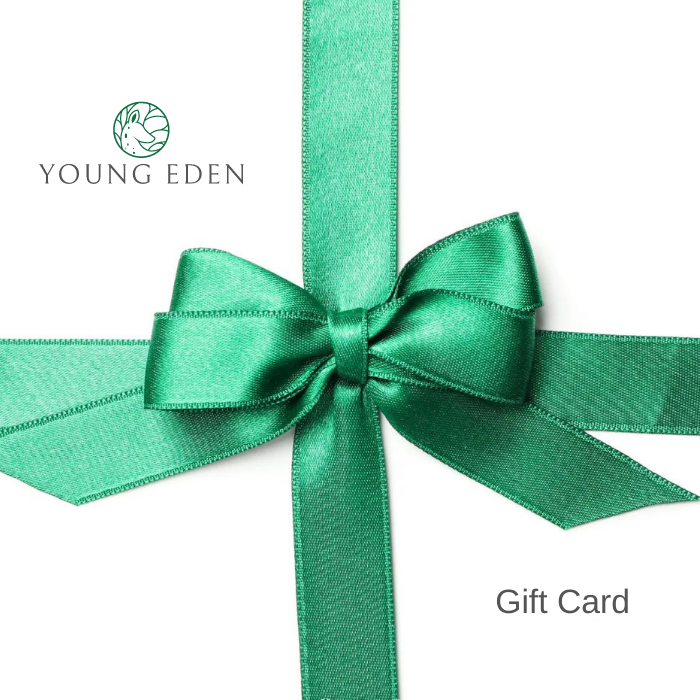 E-Gift Card - YE Organic Baby & Kid Clothes