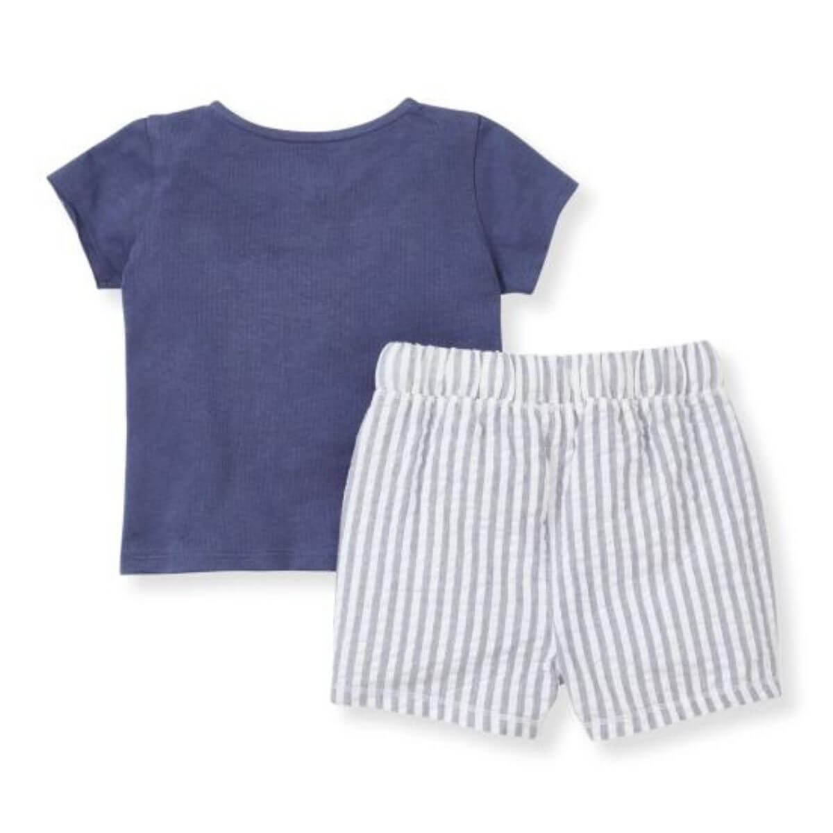 Organic Baby Boy Outfit / Henley Tee & Short Set - Seersucker