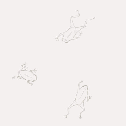 Organic Frog Baby Boy Jumpsuit & Hat Set