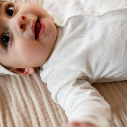 Organic Frog Baby Boy Jumpsuit & Hat Set