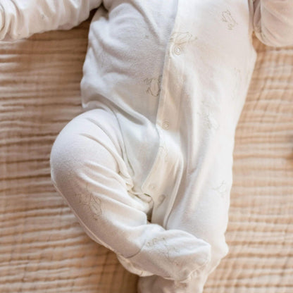 Organic Frog Baby Boy Jumpsuit & Hat Set