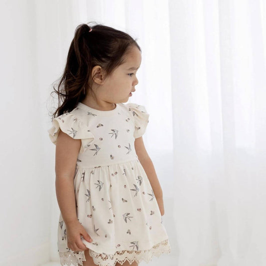 Organic Toddler Lace Flutter Sleeve Dress - Swallows