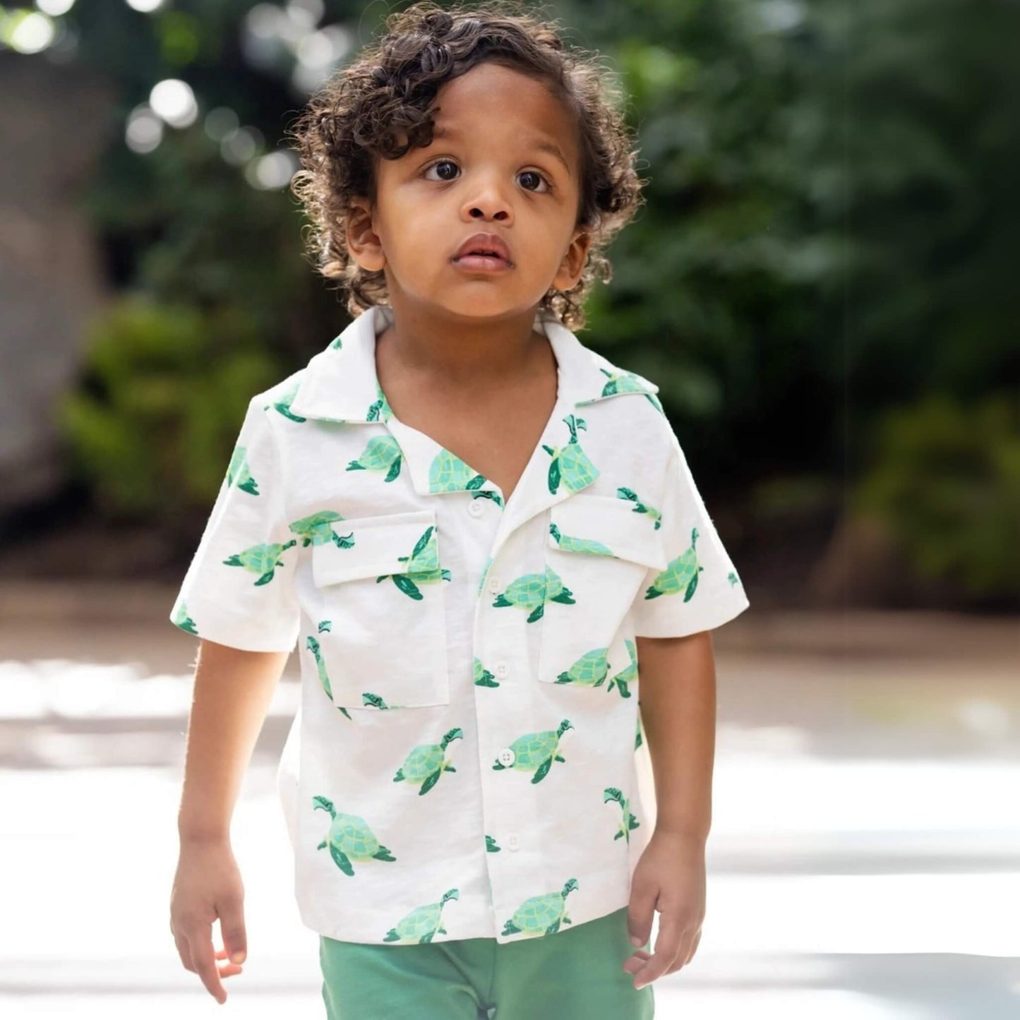 Organic Toddler & Kid Boys Summer Shirt and Short Set - Sea Turtles