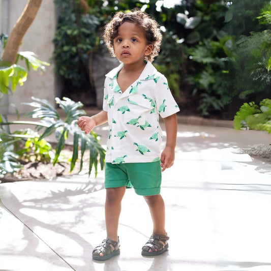 Organic Toddler & Kid Boys Summer Shirt and Short Set - Sea Turtles