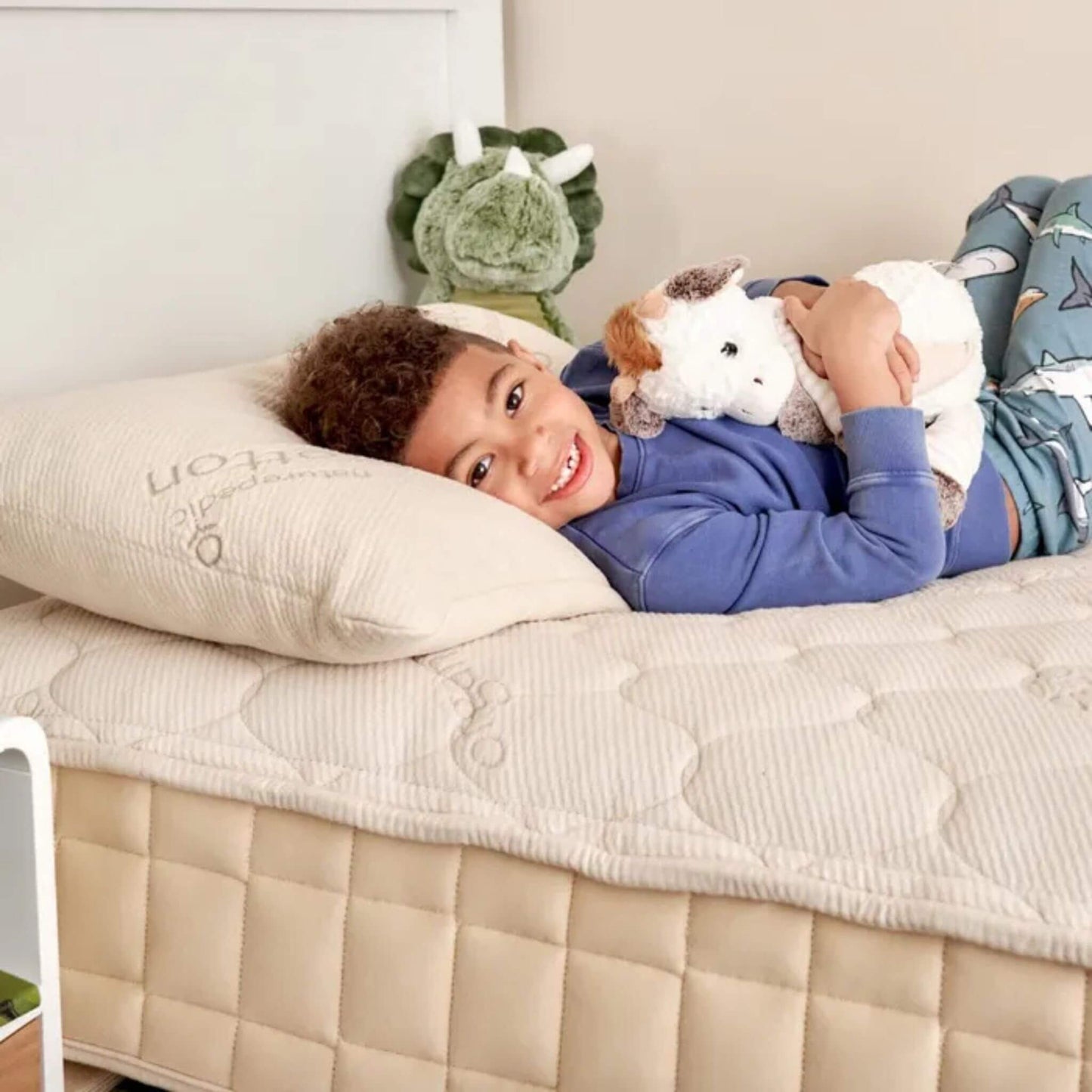 PLA Kids Pillow with Organic Fabric