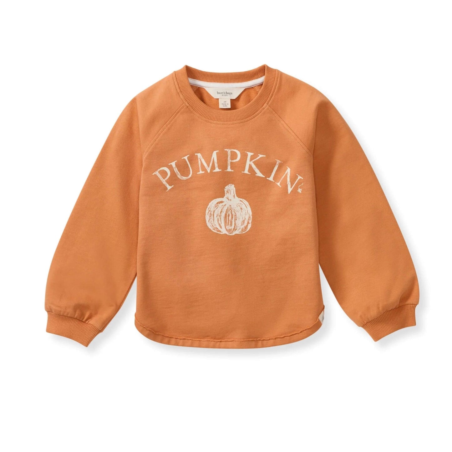 Pumpkin Organic Cotton Baby & Toddler Sweatshirt