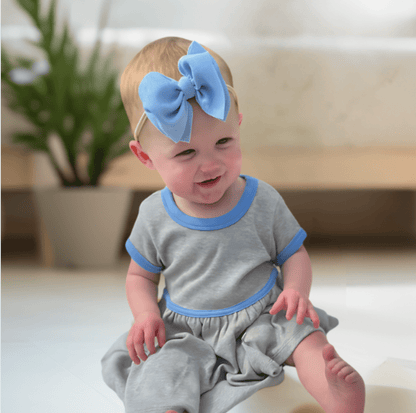 Organic Short Sleeve Twirl Dress - Periwinkle Colorblock