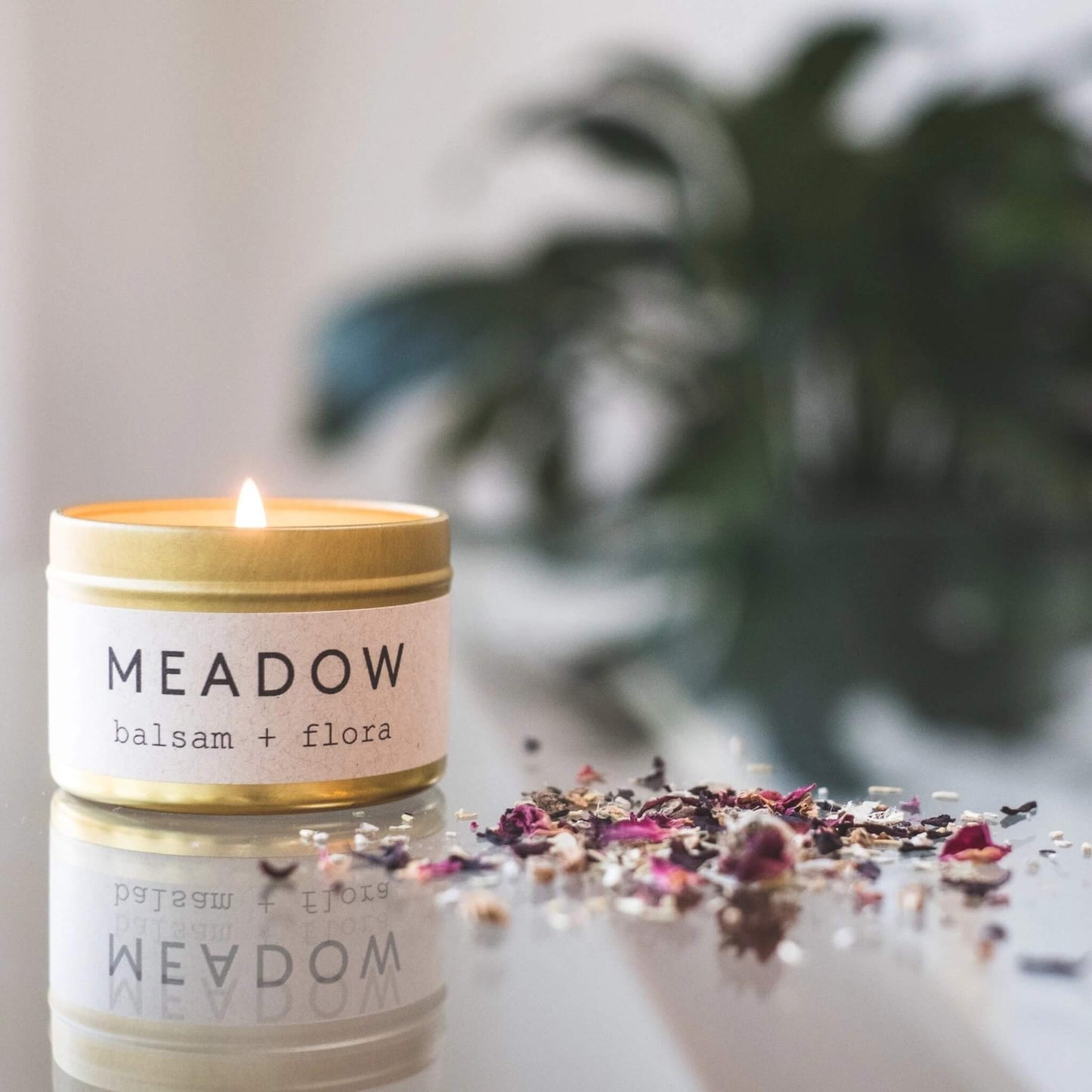 Tealight Wellness Candle - Wild Love