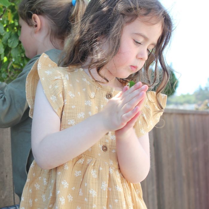 Organic Gia Muslin Ruffle Sleeve Baby Dress - Honeysuckle