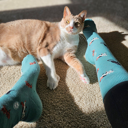 Save Cats Adult Socks Gift Box