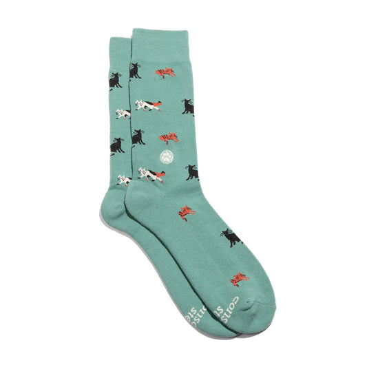 Adult Socks that Save Cats
