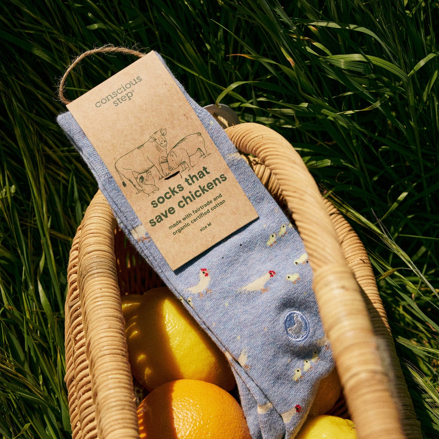 Adult Socks that Save Chickens