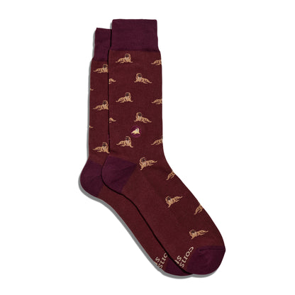 Adult Socks that Protect Walruses